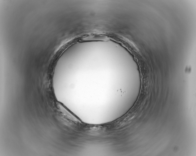 X0000093091160200710241155