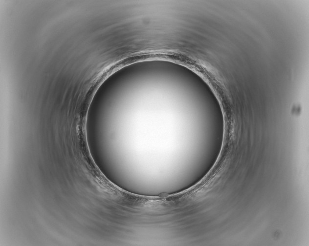 X0000093091161200710241155