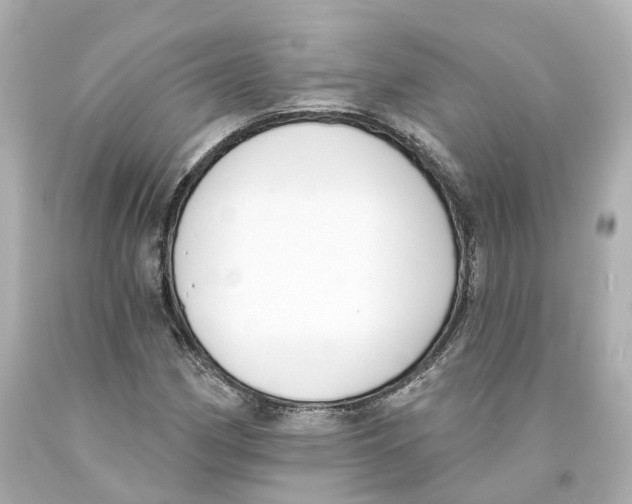 X0000093091162200710241155