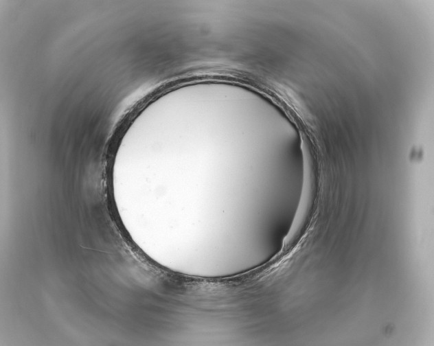 X0000093091164200710241155