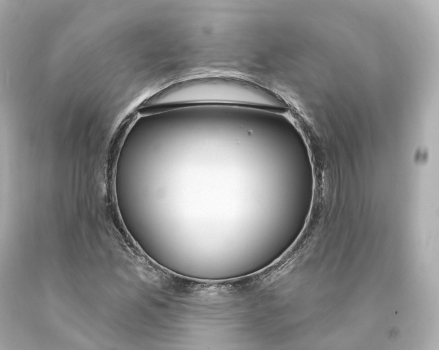 X0000093091165200710241155