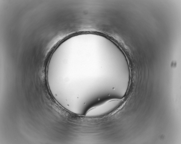 X0000093091167200710241155