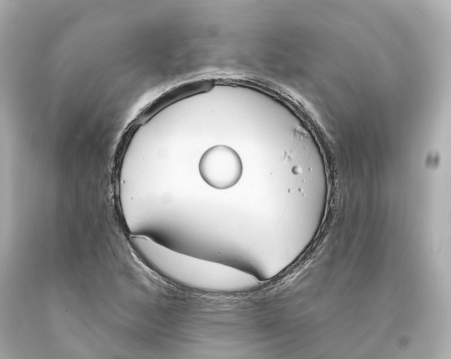 X0000093091168200710241155