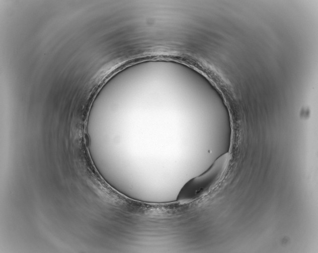 X0000093091169200710241155