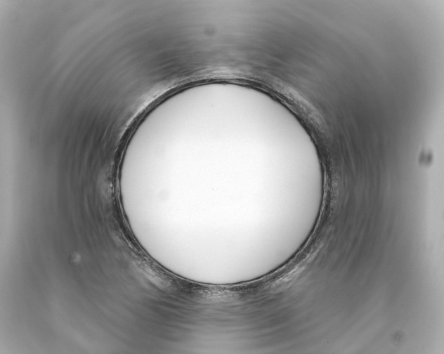 X0000093091170200710241155