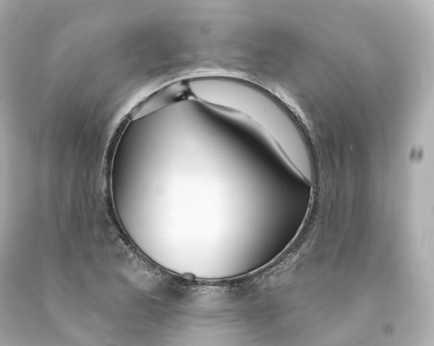 X0000093091173200710241155