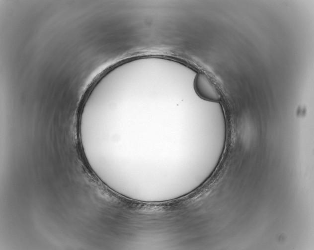 X0000093091174200710241155