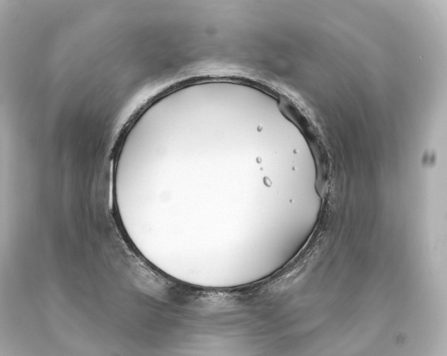 X0000093091175200710241155