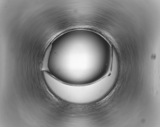X0000093091177200710241155