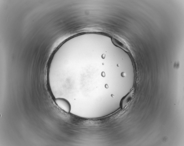 X0000093091179200710241155