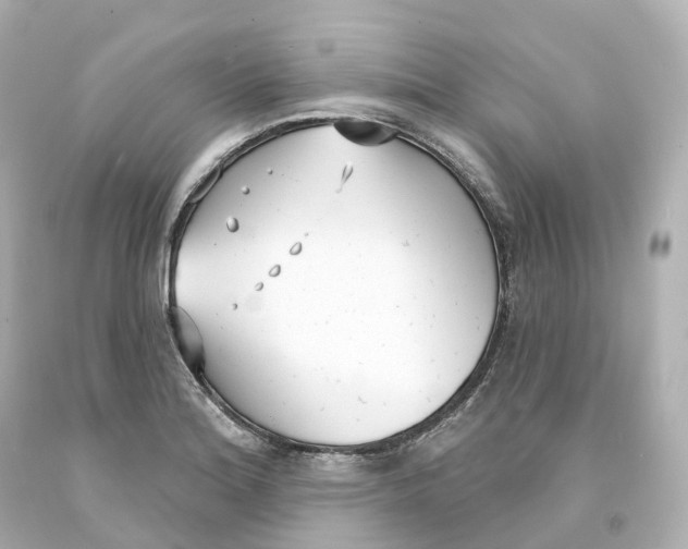 X0000093091180200710241155