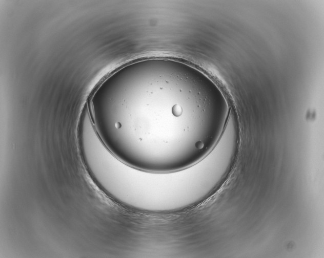 X0000093091181200710241155