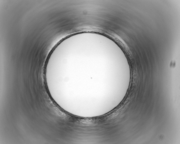X0000093091182200710241155