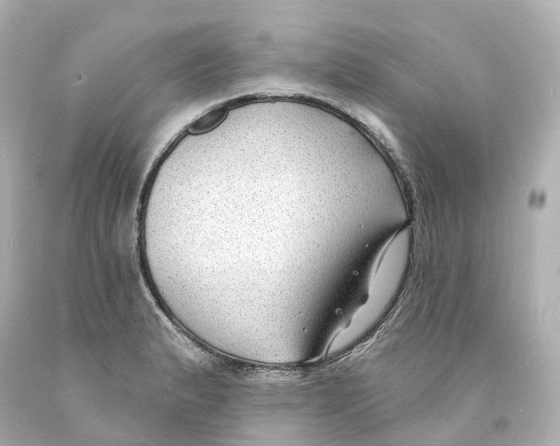 X0000093091183200710241154