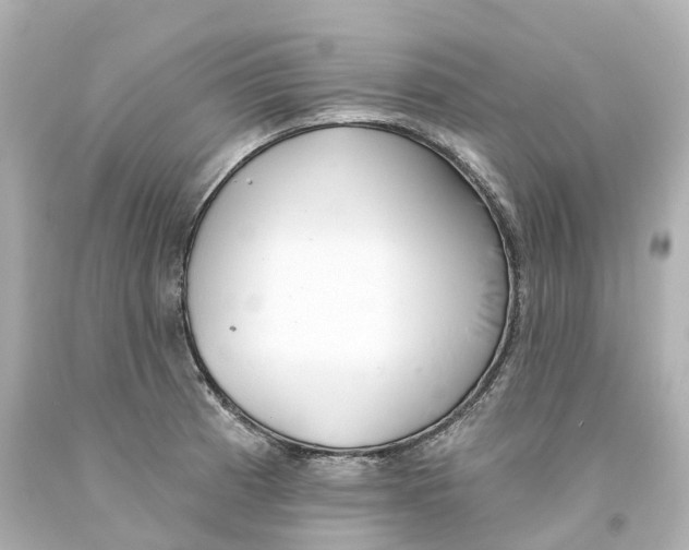 X0000093091185200710241154