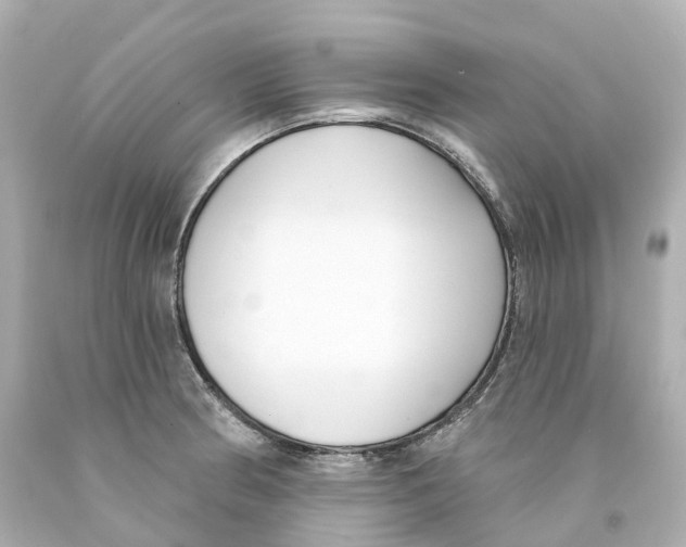 X0000093091186200710241154