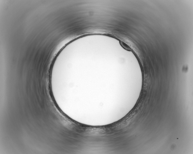 X0000093091187200710241154