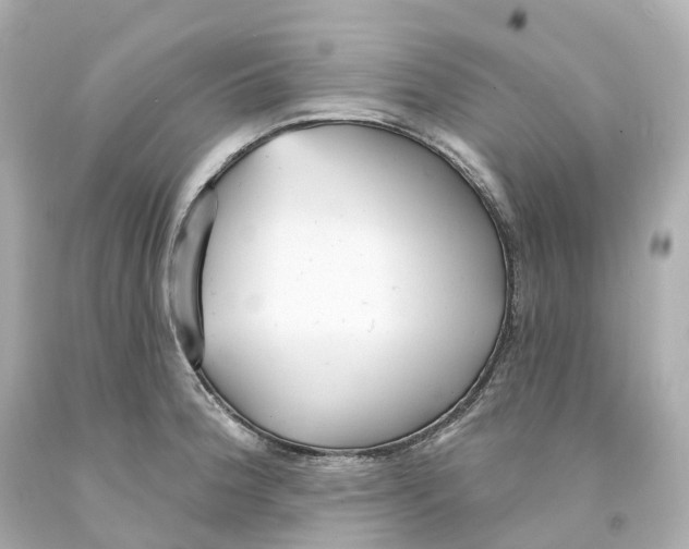 X0000093091188200710241154