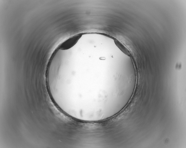 X0000093091189200710241154