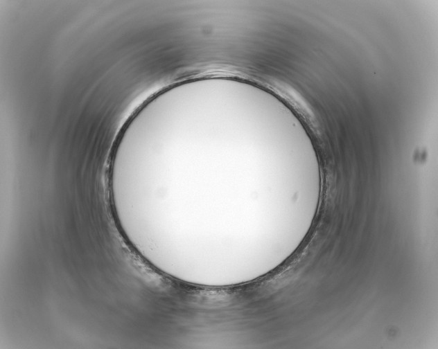 X0000093091190200710241154