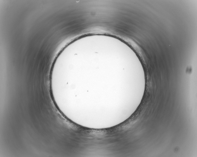 X0000093091191200710241154