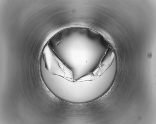 X0000093091192200710241154