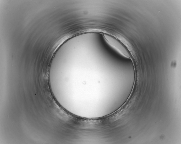 X0000093091193200710241154