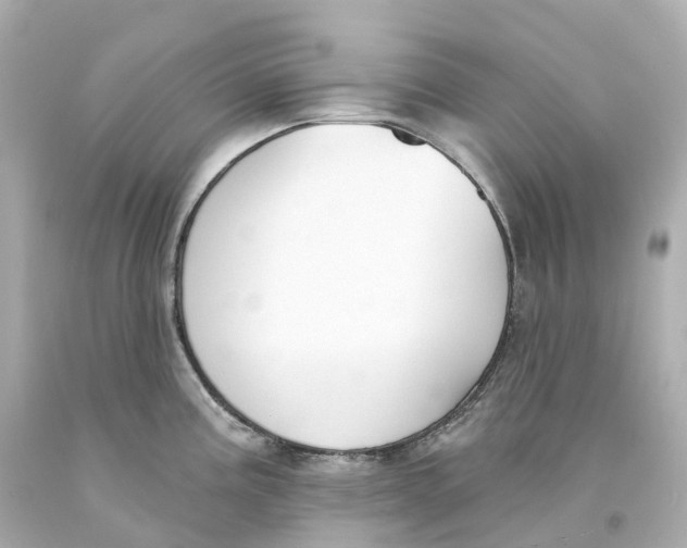 X0000093091195200710241154