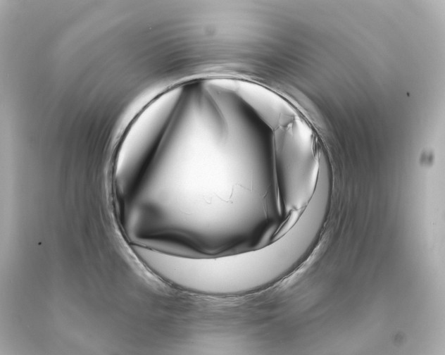 X0000093091196200710241154