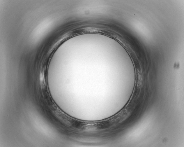 X0000093091198200710241154