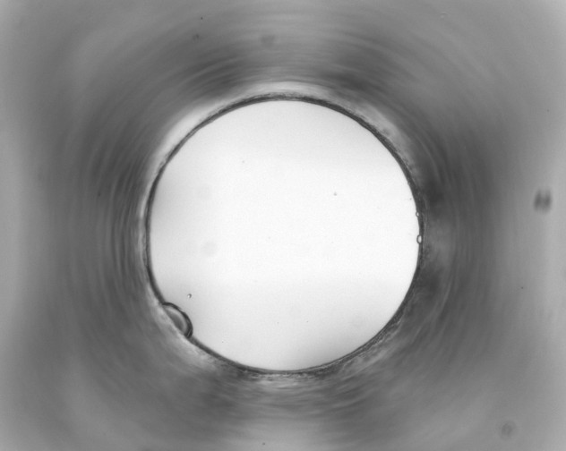 X0000093091199200710241154