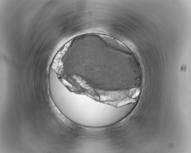 X0000093091200200710241154
