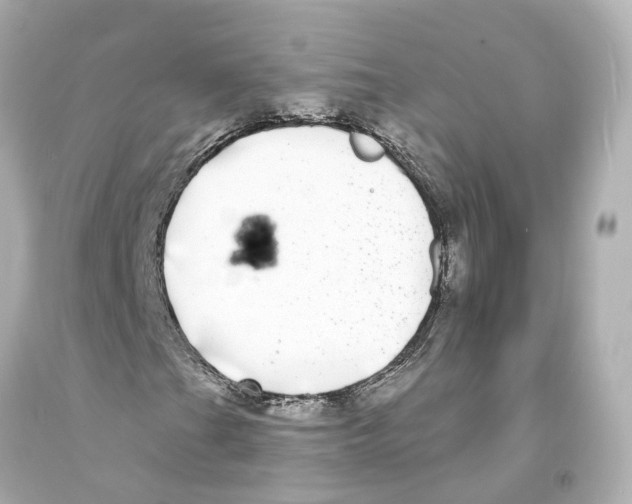 X0000093091201200710241154