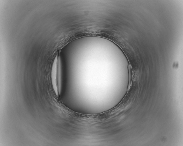 X0000093091202200710241154