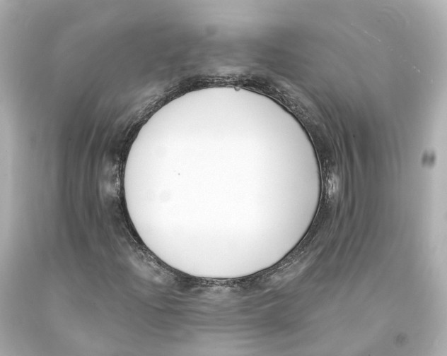 X0000093091204200710241154