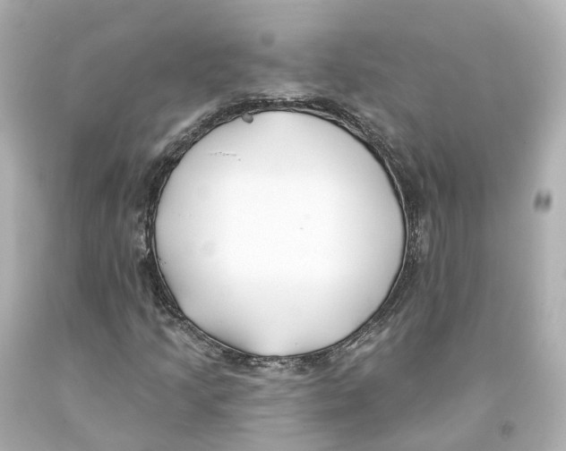 X0000093091205200710241154