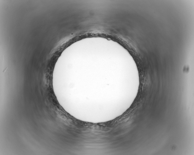 X0000093091207200710241154