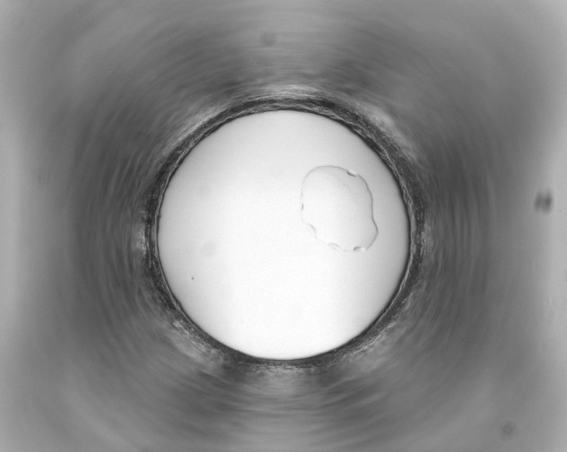 X0000093091209200710241154