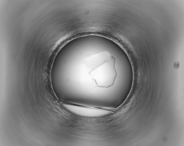 X0000093091210200710241154