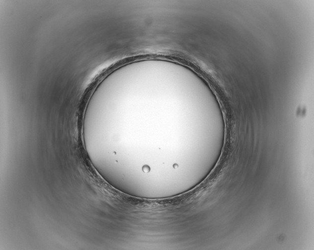 X0000093091214200710241154
