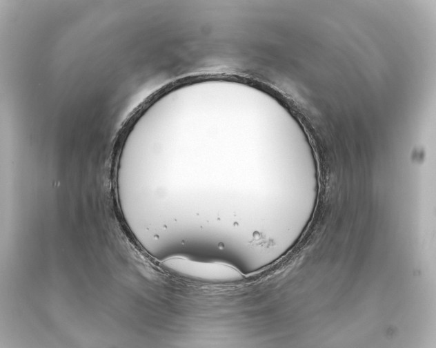 X0000093091216200710241154