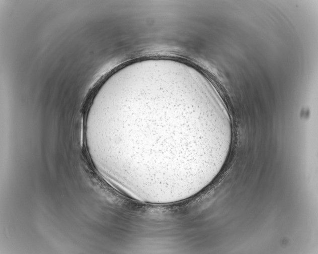 X0000093091219200710241154