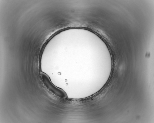 X0000093091220200710241154