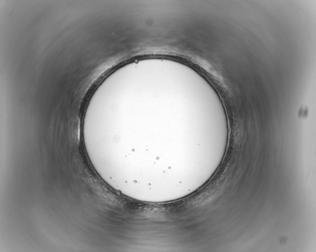 X0000093091221200710241154