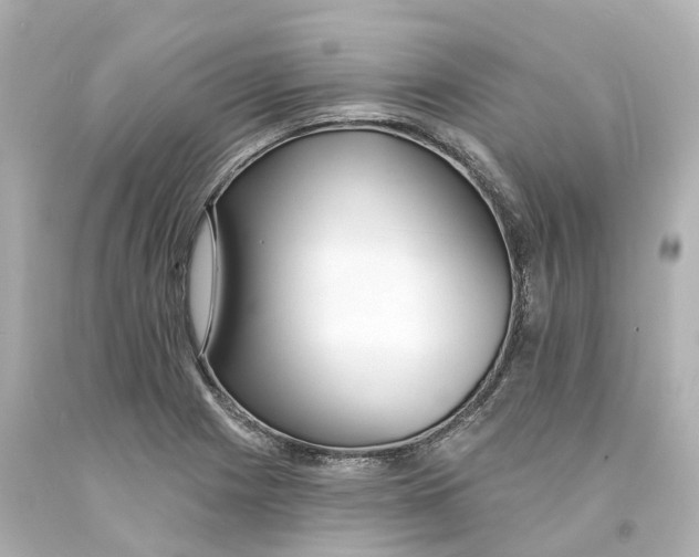 X0000093091225200710241154