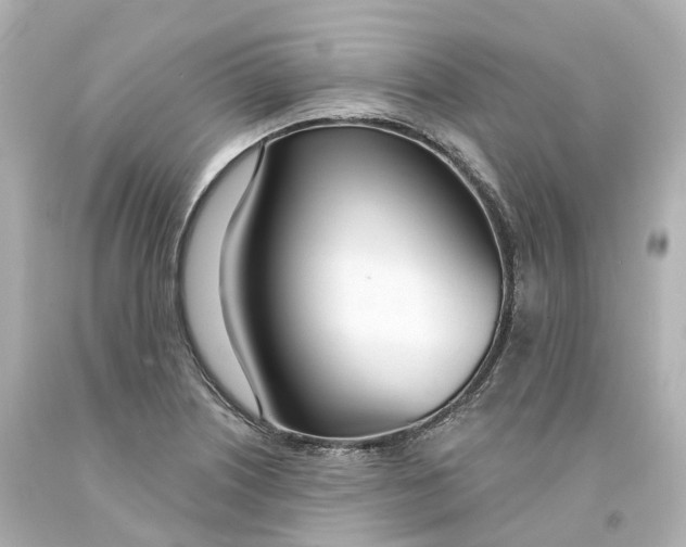 X0000093091226200710241154