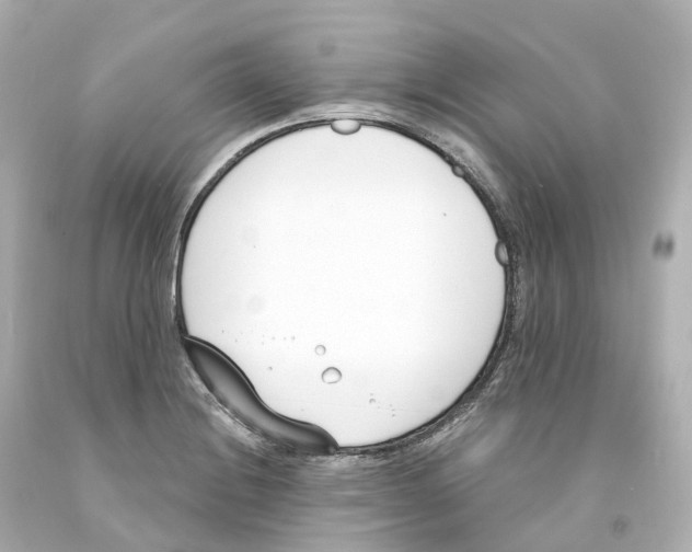 X0000093091228200710241154