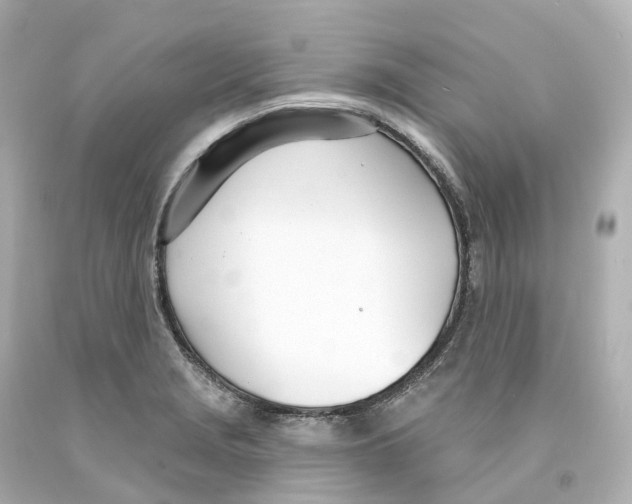 X0000093091229200710241154
