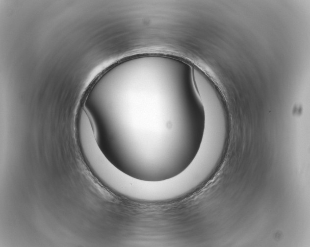X0000093091230200710241154