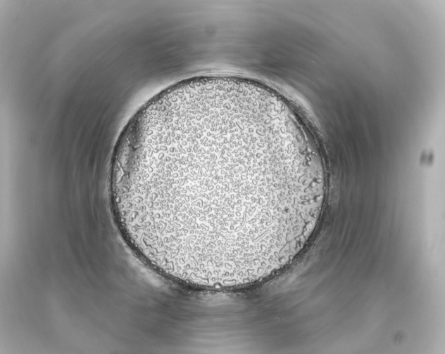X0000093091231200710241154